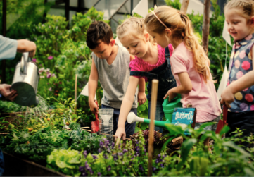 Projekti v šolah Gojenje rastlin
